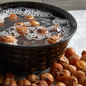 Organic Soap berries or soap nuts in water releasing saponins or natural soaps.