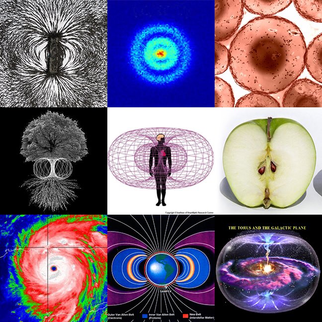 A composite image showing examples of toroidal energy fields across nature