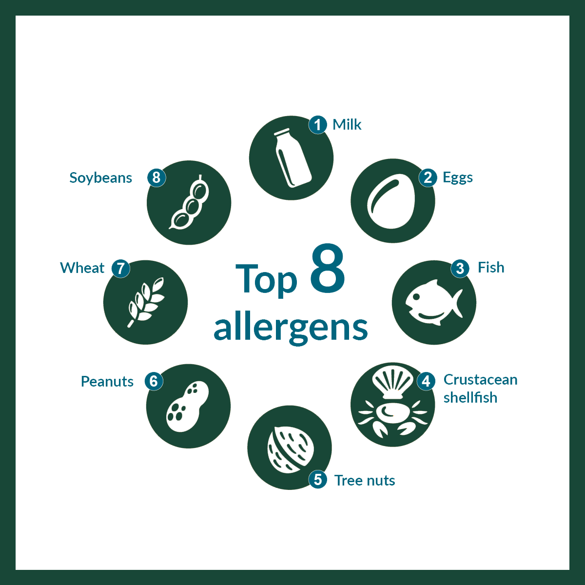 the top 8 food allergens
